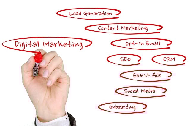 Online SEO Training