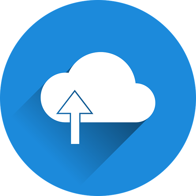 online store SEO agency