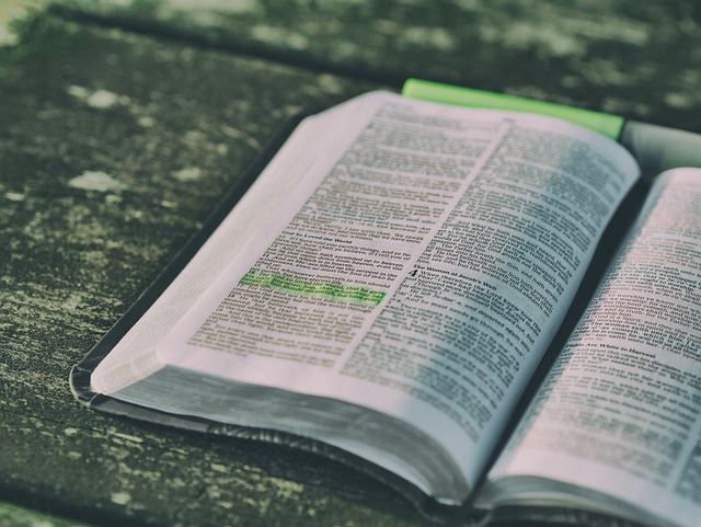 optimize anchor text