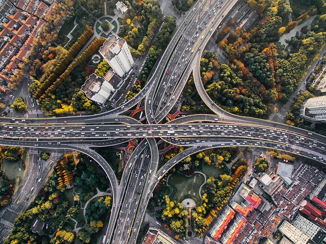 Organic Traffic