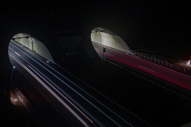 Organic Traffic