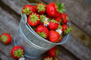 Unleash Organic Growth: SEO Strategies for Success