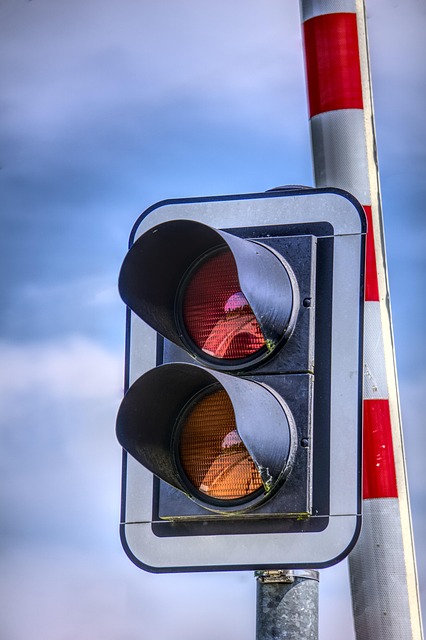 Organic Traffic