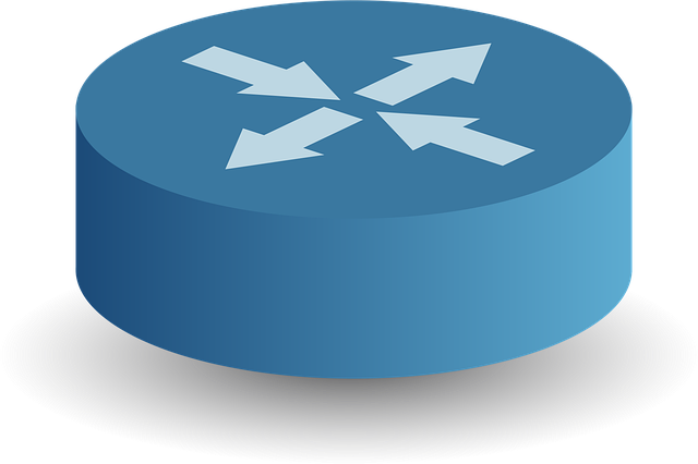 Organization Structured Data