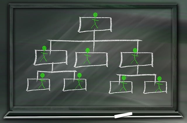 Organization Structured Data