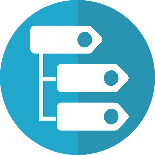 Organization Structured Data