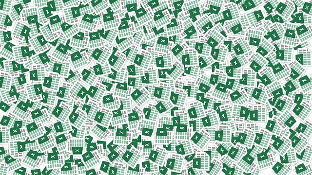 Organization Structured Data