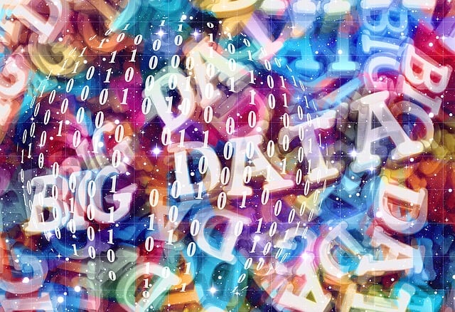 Organization Structured Data