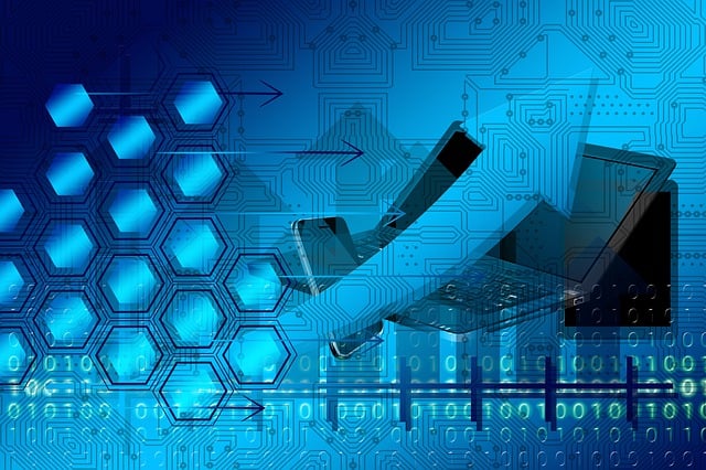 Organization Structured Data