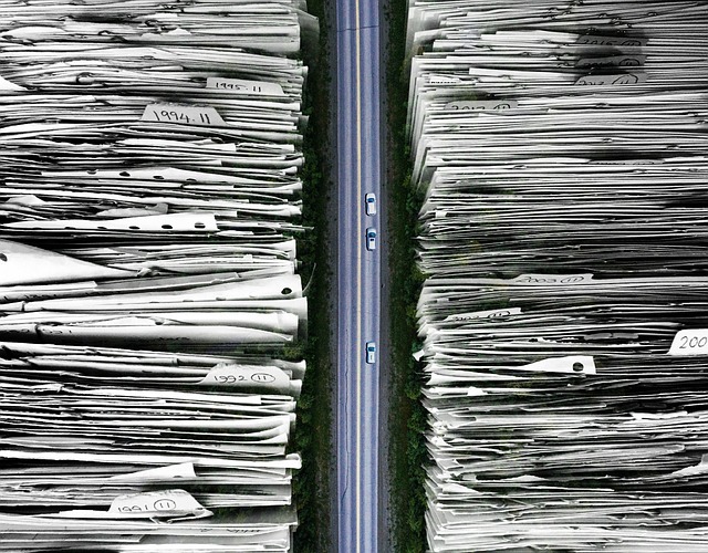 Organization Structured Data