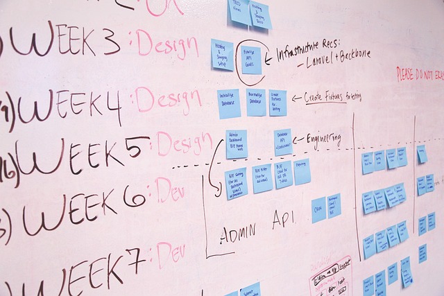 Organization Structured Data