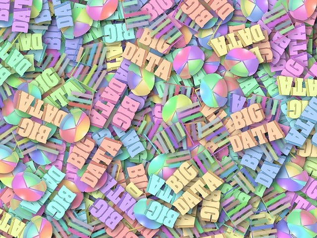 Organization Structured Data