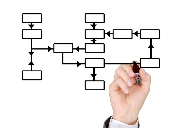 Organization Structured Data