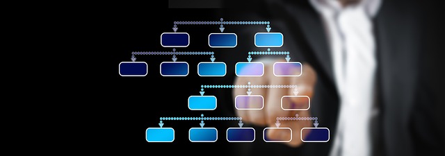 Organization Structured Data