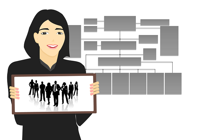 Organization Structured Data