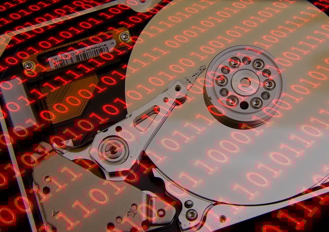 Organization Structured Data