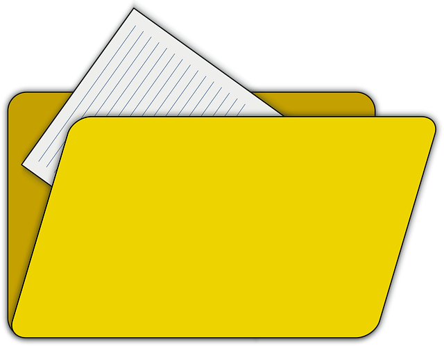 Organization Structured Data