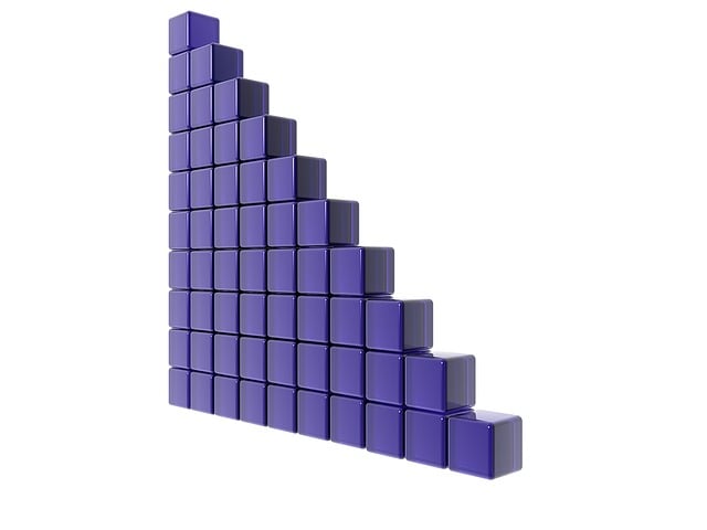 Organization Structured Data