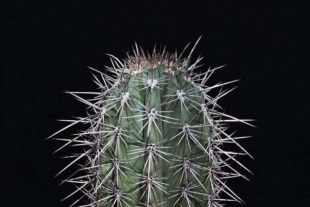 pain relief acupuncture