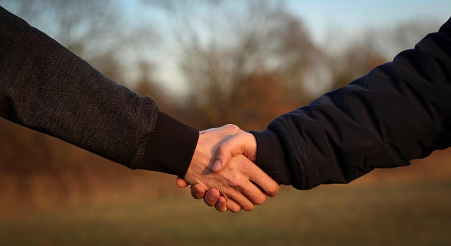 parental agreement mediation