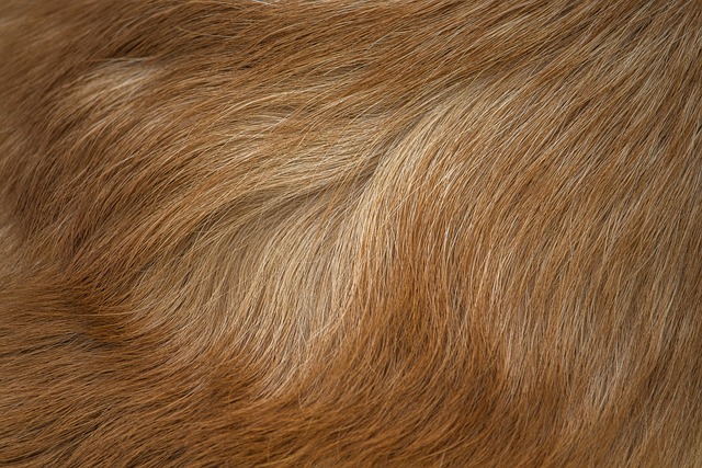 Permanent Hair Removal