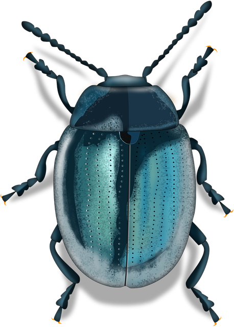 pest exterminator