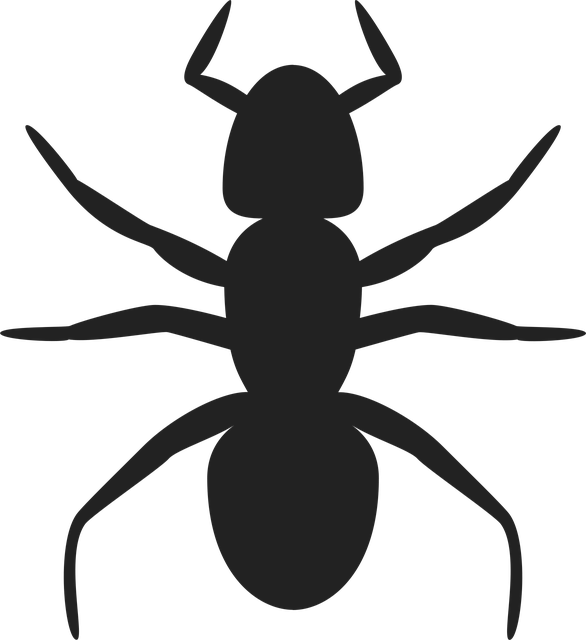 pest exterminator