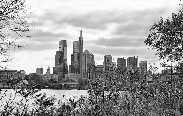 Philly business IT