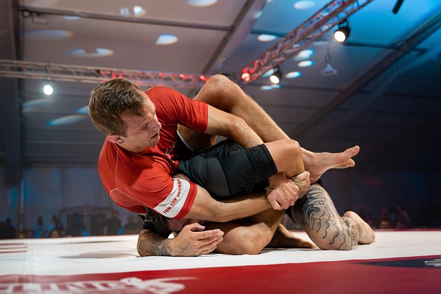 Phoenix BJJ gym