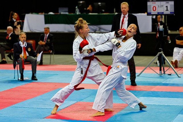 Phoenix combat sports