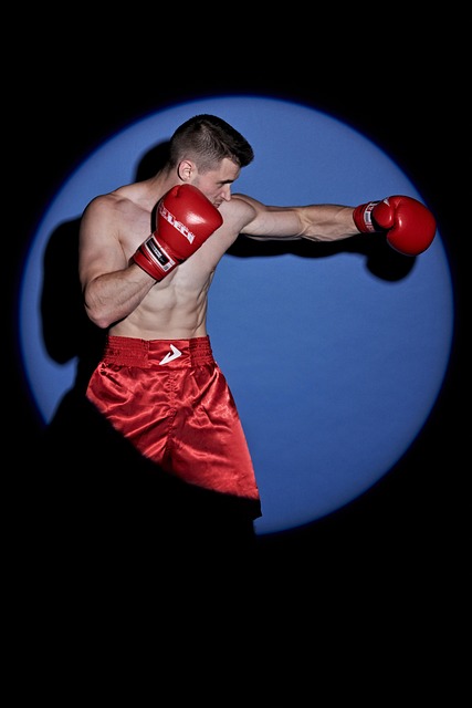 Phoenix kickboxing training