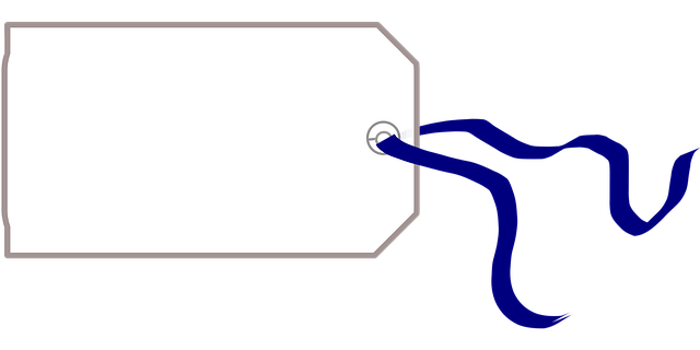 Pricing Schema Tag