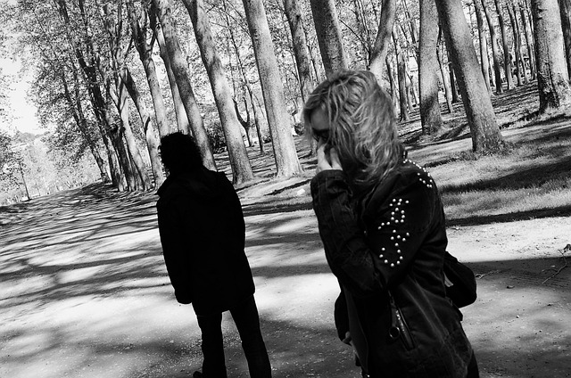 private divorce mediation
