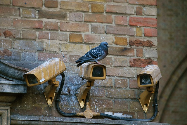 proactive monitoring