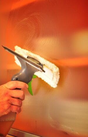 Steam Carpet Cleaning Mesa: Expert Residual Odor Removal
