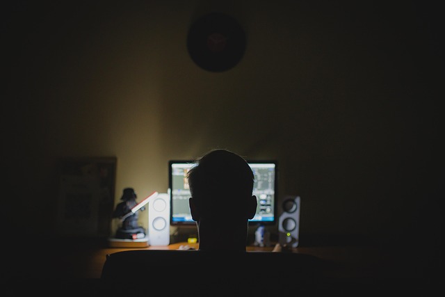 Professional SEO Programs