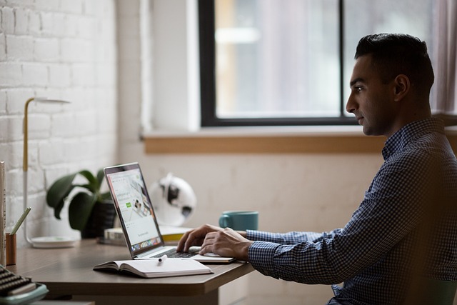 Professional SEO Programs