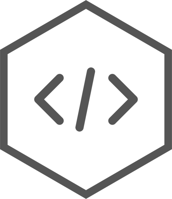Professional SEO Programs