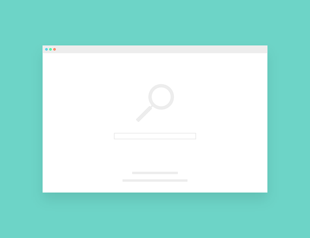Professional SEO Programs