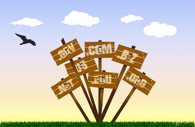 Cloudify Your Practice: QuickBooks Hosting for Efficient Accounting