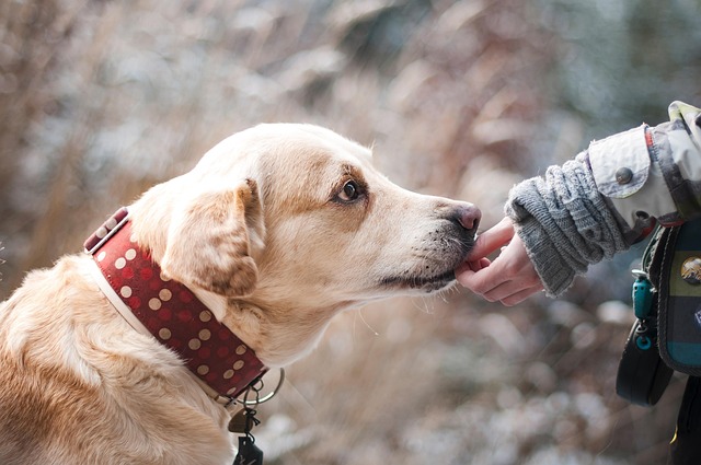 Enhance Your Bond: Unlocking Lasting Relationships Through Therapy