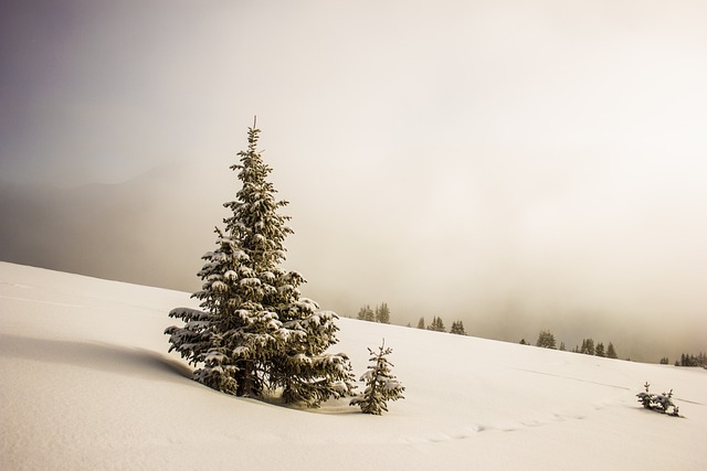 remote bookkeeping cloud