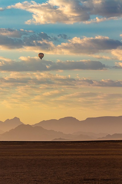 Remote Monitoring: Boosting Financial Service Efficiency with CPAs