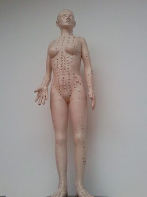 Acupuncture for Fertility: Natural Conception & IVF Support in Austin