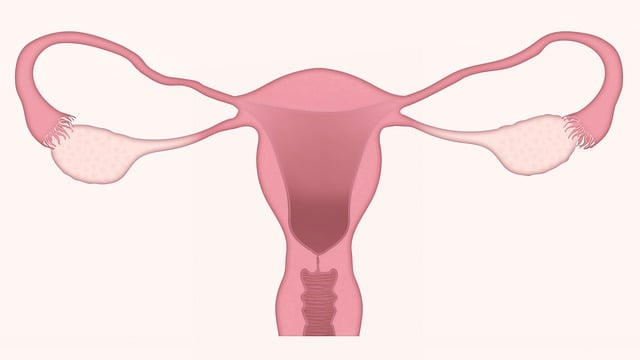 reproductive acupuncture