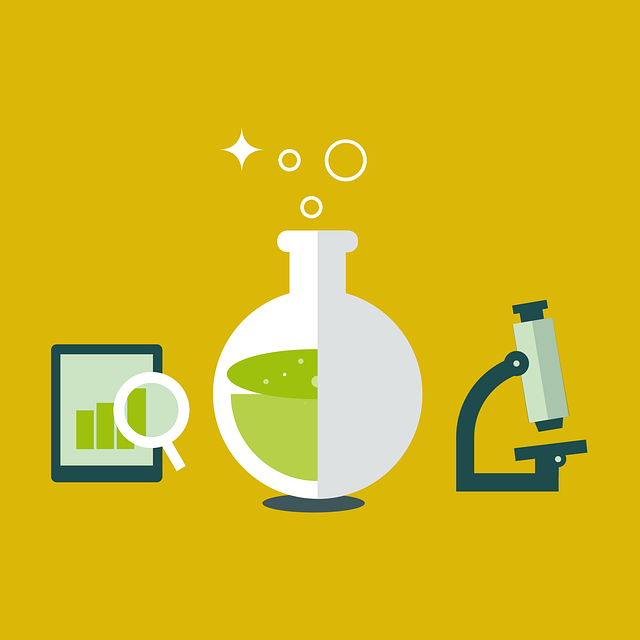 responsive small business web design