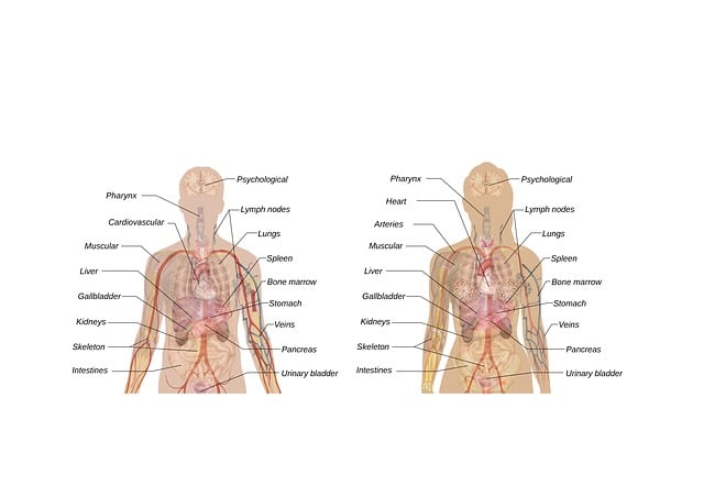 Review Snippet Schema