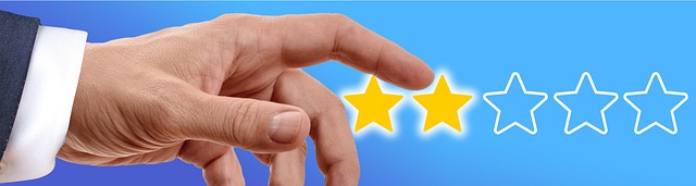 Review Snippet Schema