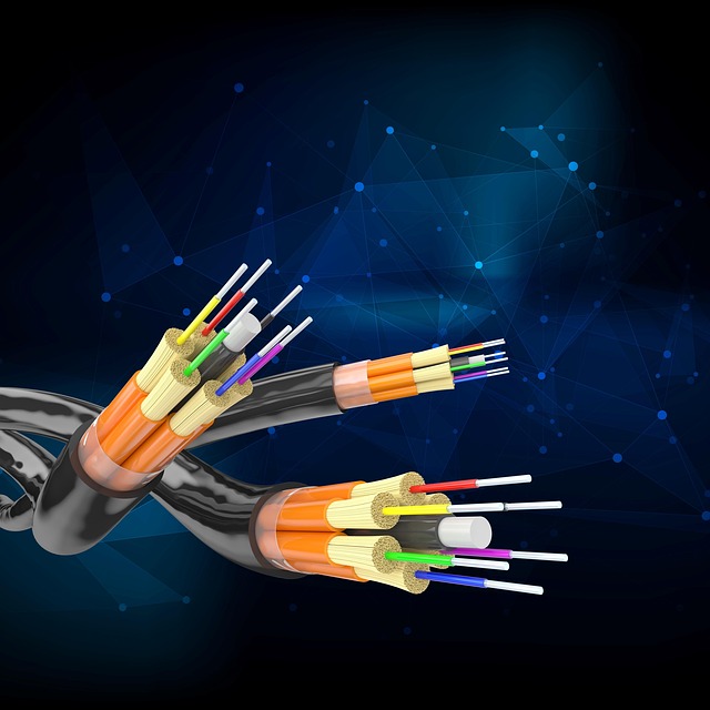 Review Structured Data