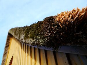 Extend Commercial Roof Life: Liquid Coatings Solutions